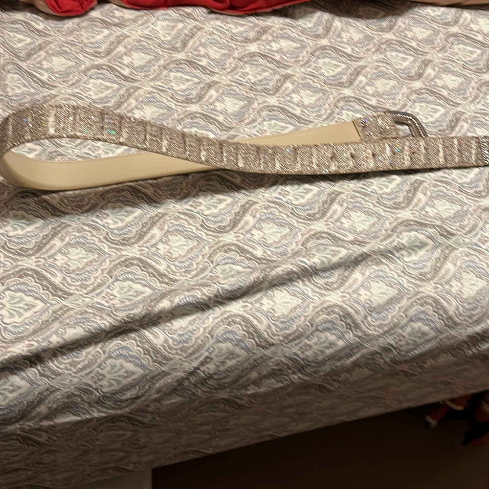 Silver sparkle belt